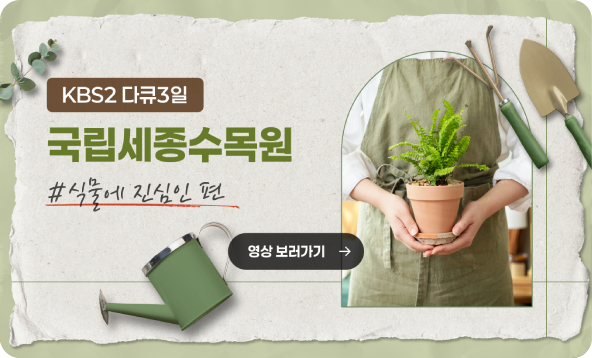 KBS다큐3일 국립세종수목원 식물에 진심인 편 영상 보러가기