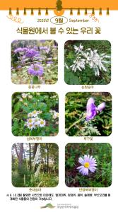 ('25.9.15.)식물원에서 볼 수 있는 우리 꽃.jpg