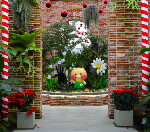 2025 국립세종수목원 x 카카오프렌즈 특별전시