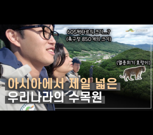 아시아에서 가장 큰, 605헥타르 규모의 대한민국 수목원 국립백두대간수목원