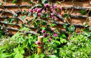  [2016] 행사 이모저모 이미지 001